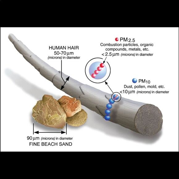 2 Hoop Dreams Basketball Neck Gaiters w/ Filters! - Picture 8 of 12